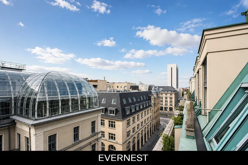 Elegantes Penthouse mit Dachterrasse und Kamin — photo 1